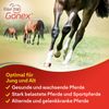 Equitop Gonex Granulat für Pferde 750g