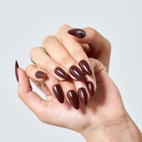 GLAMERMAID Dark Brown Press on Nails Medium Almond, Natural Glossy Jelly Gel Nails Stiletto Fake Nails with Design, Short Oval Stick Glue on Nails Tips for Women, Reusable Acrylic Daily False Nail Kit