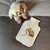 'Grumpy Bearded Dragon' Hot Water Bottle Cover (HW00030413)