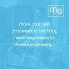 Magnesium Bisglycinate Powder 250g Nutriscript