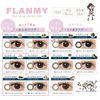 FLANMY フランミーワンデー 10枚入 【きなこロール】 -8.00