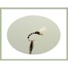 Goldhead Buzzer Trout Flies, 24 Per compartment Box, Mixed Type & Sizes