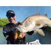 BX SKITTER FROG BXSF05 FSN