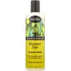 ShiKai Shower Gel, Cucumber Melon, 12-Ounces