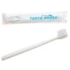 50 x Disposable Powdered Toothbrushes