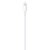 Apple USB-C to Lightning Cable (1m) ​​​​​​​