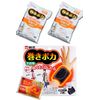 Wrap Poka Wrist Body + Replacement 2 Piece Set, Includes Bonus Heating Sheet + Dedicated Holder (1 Main Unit + 2 Replacement Set)