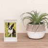 Nakabayashi Acrylic Magnetic Frame - ACM-CK