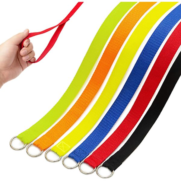 Slip Lead Dog Leash, 6 Pcs Short Pet Leashes Slip Leads for Dogs Cats Grooming S