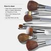 Clinique Blush Brush for Cheeks