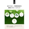 Quattro Botanico Aging Care Cream, Men's, Botanical, Power Lift & Deep Moist, Men's Cosmetics, Moisturizing, Milky Lotion, All-in-One Dry Skin, Face Cream, Skin Care, Men's Cosmetics, 1.8 oz (50 g) x 2 Sets