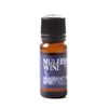 Mulled Wine and Christmas Spice Oil Burner Gift Set