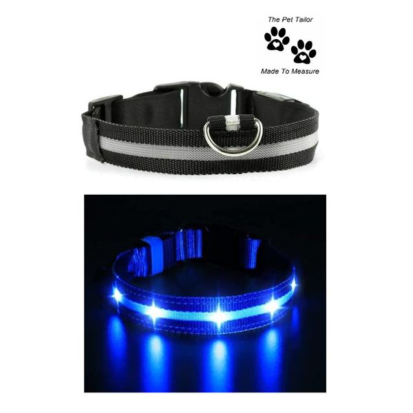 Eurasier LED Dog Collar Size L Large Light Up Flashing Pet Lead Safety Harness