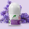 Dr Organic Lavender Deodorant