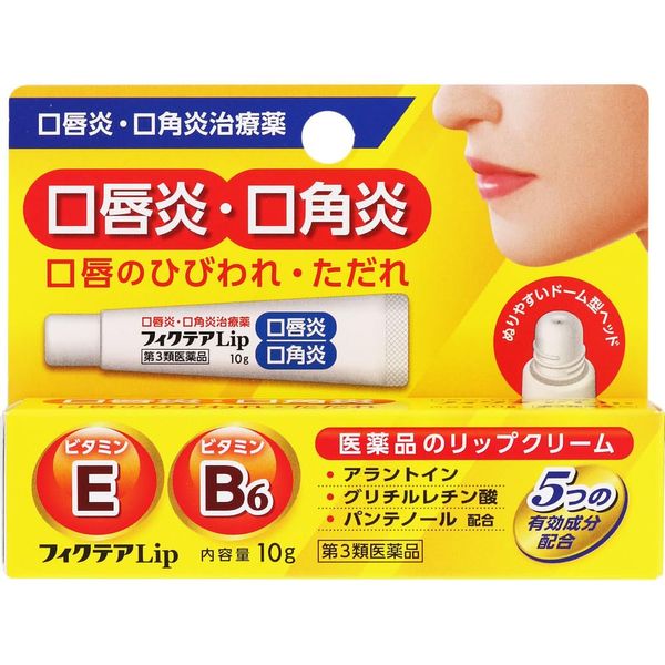 【第3類医薬品】フィクテアLip 10g ×8