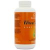 Lifestream Organic Wheat Grass Powder 250g