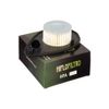 Hiflofiltro HFA3804 Premium OE Replacement Air Filter, Black