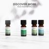 Tisserand Aromatherapy EUCALYPTUS Ethically Harvested, 20ml