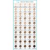 Maybelline New York Fit Me Matte & Poreless Foundation - 242 Light Honey, Pack of 3 (3 x 30ml)