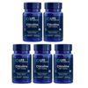 Life Extension Citicoline (CDP-Choline) - 60 Vegetarian Capsule 5 PACK