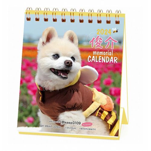 Art Print Japan 2024 Shunsuke (Weekly Turning Mini) Calendar No. 049