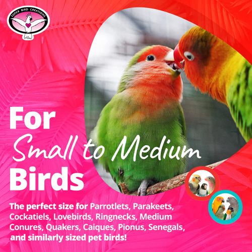 Super Bird Creations SB929 Mini Seagrass Tumbler Bird Foot Toy, Small/Medium Bird Size, 4" x 2"