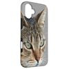 Stunning Tabby Cat Close Up Portrait Vector Case for iPhone 16 Plus