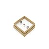 Antiqued Bronze House Metal Map Push Pins