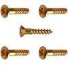 #6 x 1/2" Solid Brass Oval Head Wood Screws Phillips Drive Quantity 100