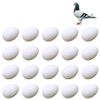 JVHLOV 20x Solid Plastic Dummy Fake Eggs, Dummy Eggs Dove, Simulation Bird Egg Bird Breeding Tool