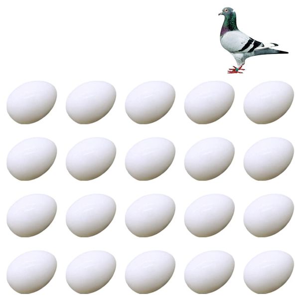 JVHLOV 20x Solid Plastic Dummy Fake Eggs, Dummy Eggs Dove, Simulation Bird Egg Bird Breeding Tool