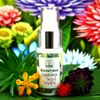 Secret Garden Hand and Body Lotion 30 ml