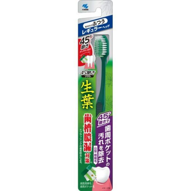 Shouyo 45° Brush Toothbrush, Removes Periodontal Pocket Stains, Regular Head, Normally 1 Piece, For Pyorrhea Prevention