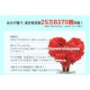 OTOGINO Magic Tree, Magic Tree that Grows in 12 Hours, Magic Love Tree, Light, Magic Christmas Tree