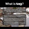 tag Seasalt + Sage Frag Candle Ivory