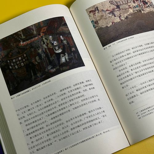 观无量：壁画上的中国史 苗子兮著 启笛丛书