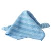 Spontex Microfibre Bathroom Kit (2 Cloths)