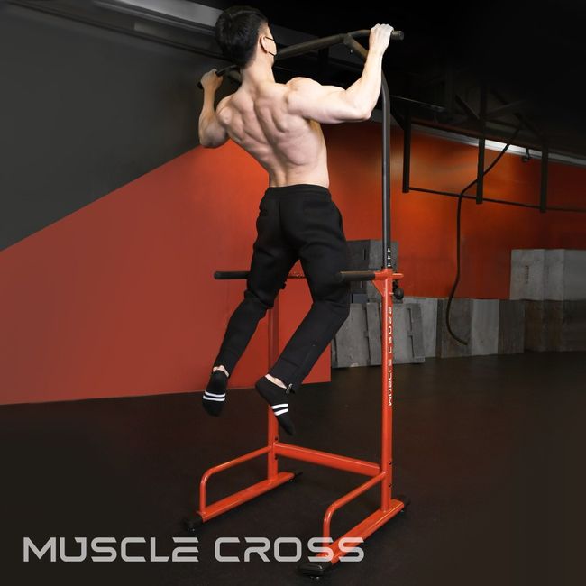 Muscle Cross Chining Dipping Household Iron Bar Pull-Up Chin-Up Dips Machine Indoor Chin-Up Exercise Equipment, Black