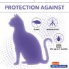 Flea & Tick Prevention for Cats and Kittens