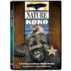 Nature: Koko - A Conversation With Koko [DVD]