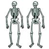 Jointed Skeletons - 22"