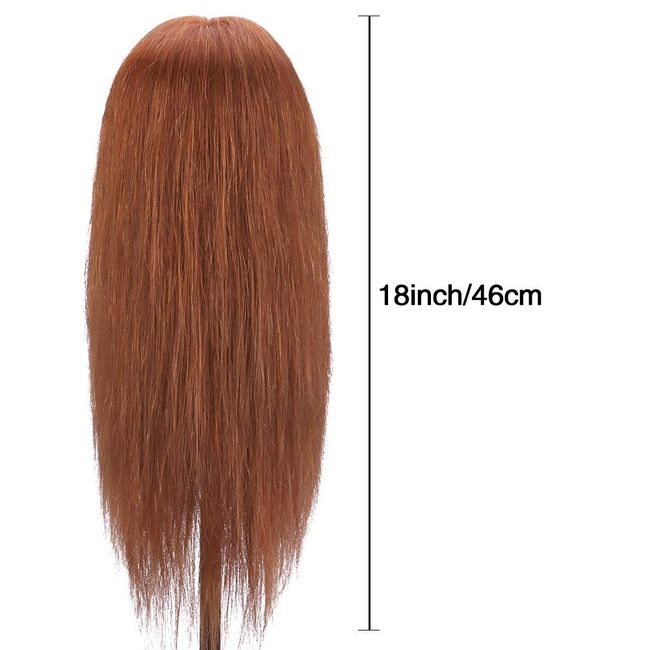 Mannequin Head with Human Hair Mannequin Head 14 inch 100% Real Hair  Training Head Doll Head for Hairdresser Practice Styling Cosmetology  Mannequin