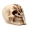 Puckator Gruesome Skull Head with Skeleton Claw Hand