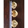 Pig Snout Dog treats (10 Pack)