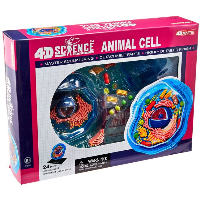 Famemaster 4D-Science Animal Cell Anatomy Model Coral, Black, Mint Green, Beige, Gold, Rose Gold