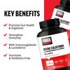 FORCE FACTOR Bovine Colostrum Capsules to Support Gut Health & Immunity
