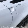 Corvette C7 Stingray Carbon Flash Door Release Scratch Protector 2014-2019 Model