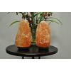 Himalayan Salt Table Lamp, 7"-9" Height, Dimmer Switch, Set of 2 Night Light