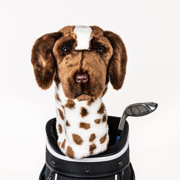 Daphne's Headcover German Shorthair Pointer