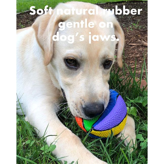  Large Soccer Ball - Soft, Squeaky Dog Toy - Natural Rubber  (Latex) - for Large Breed Dogs & Senior Dogs - 5 Diameter - Complies with  Same Safety Standards as Children's Toys : Pet Supplies